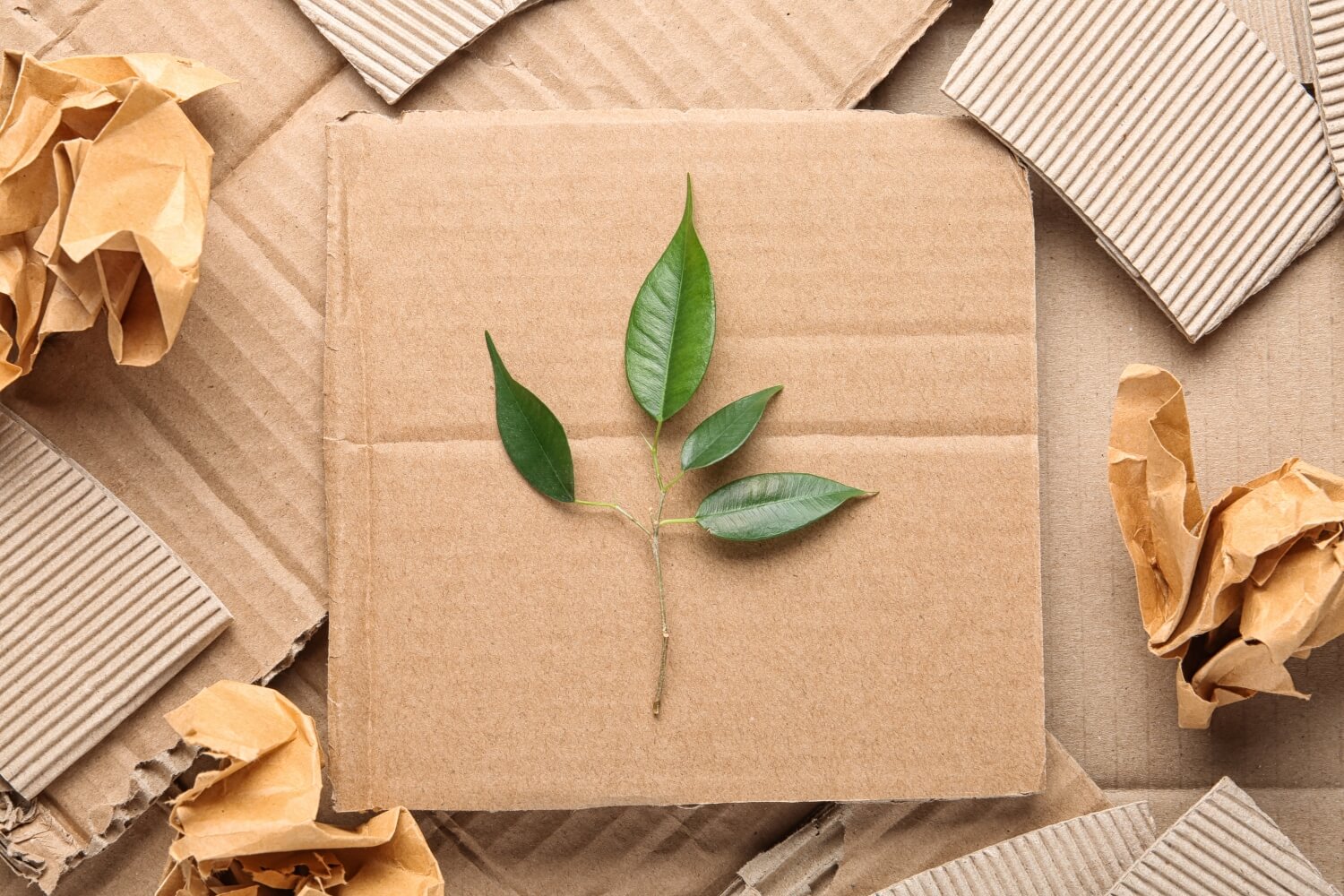 What Is The Best Packaging For The Environment